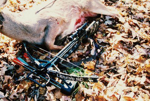 Accurate Deer Hunting With Crossbows