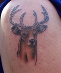 A1deertat2