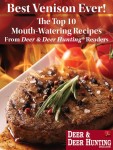 Best Venison Ever DigDownload