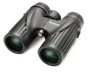 Bushnell