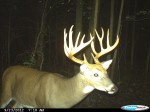 Chris Clay Michigan 14 point Cuddeback
