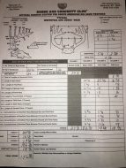 Cody Miller's scoresheet for Big City.