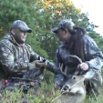 Deer Proposal