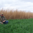 Don Higgins Real World Wildlife food plot
