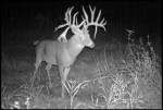 Game Camera2