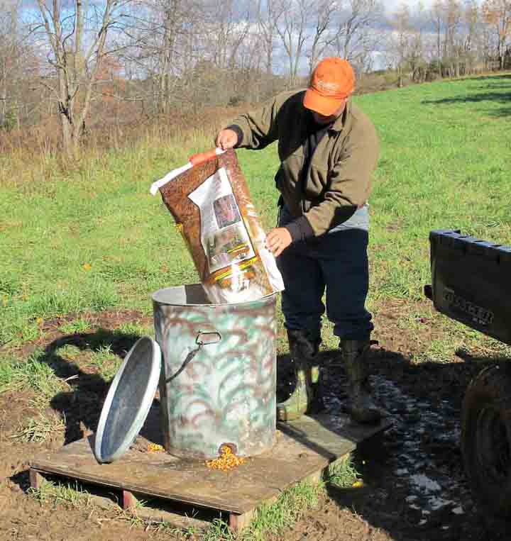 deer feeder deer feeder