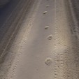 Kristen_Schmitt_tracks