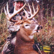 Pat Gaffney of RAM Outfitters guides hunters to big bucks on great land in the upper Midwest.