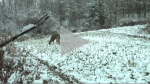 late season