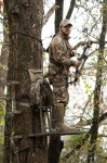 Summit Treestands