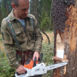 Tree Block SS