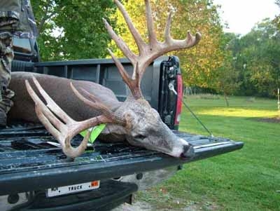 Record whitetail deer buck photo