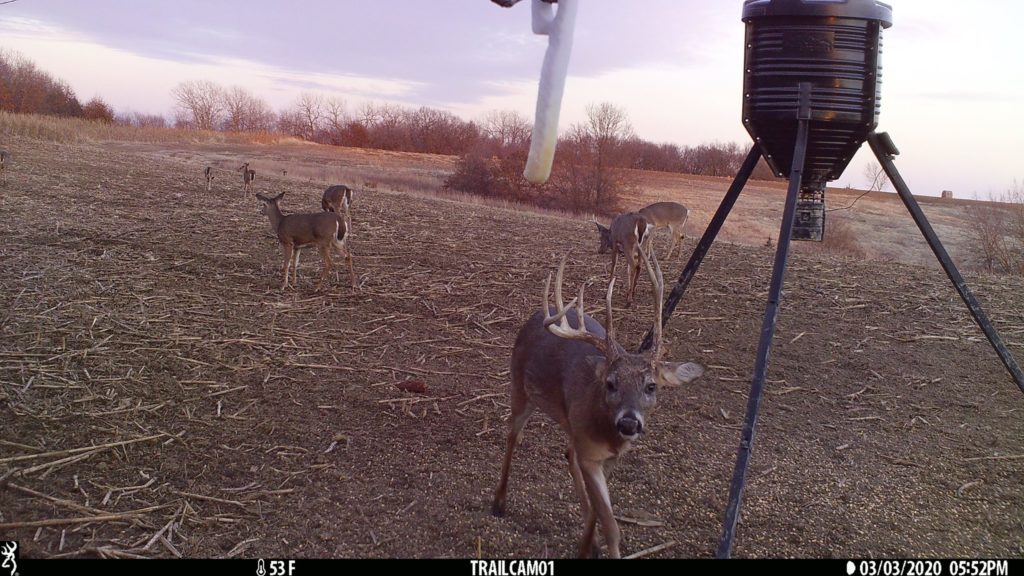 Active-Cam