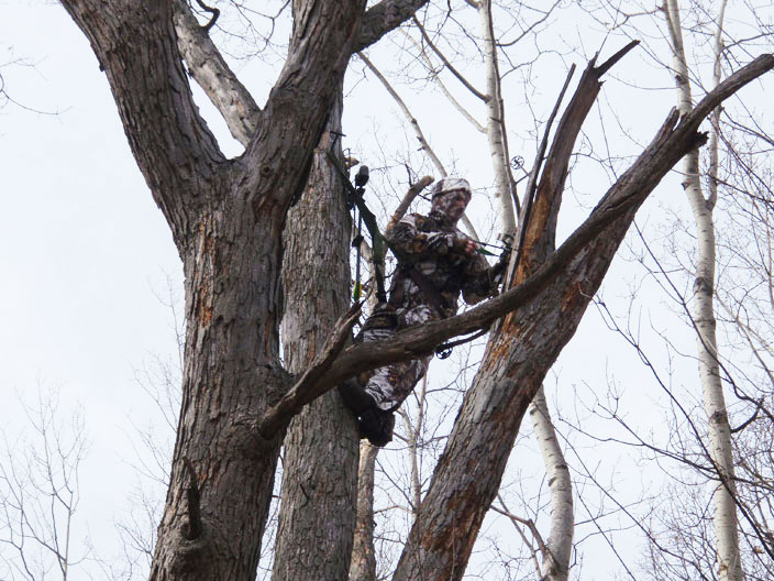 20 Reasons Why You Should Hunt From a Tree Saddle