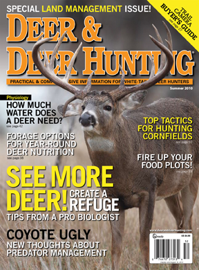 D&DH summer Issue