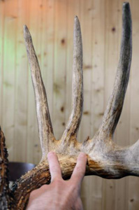 The left side of the rack.