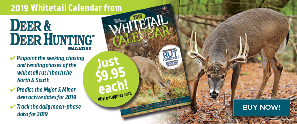 2019 Whitetails Wall Calendar