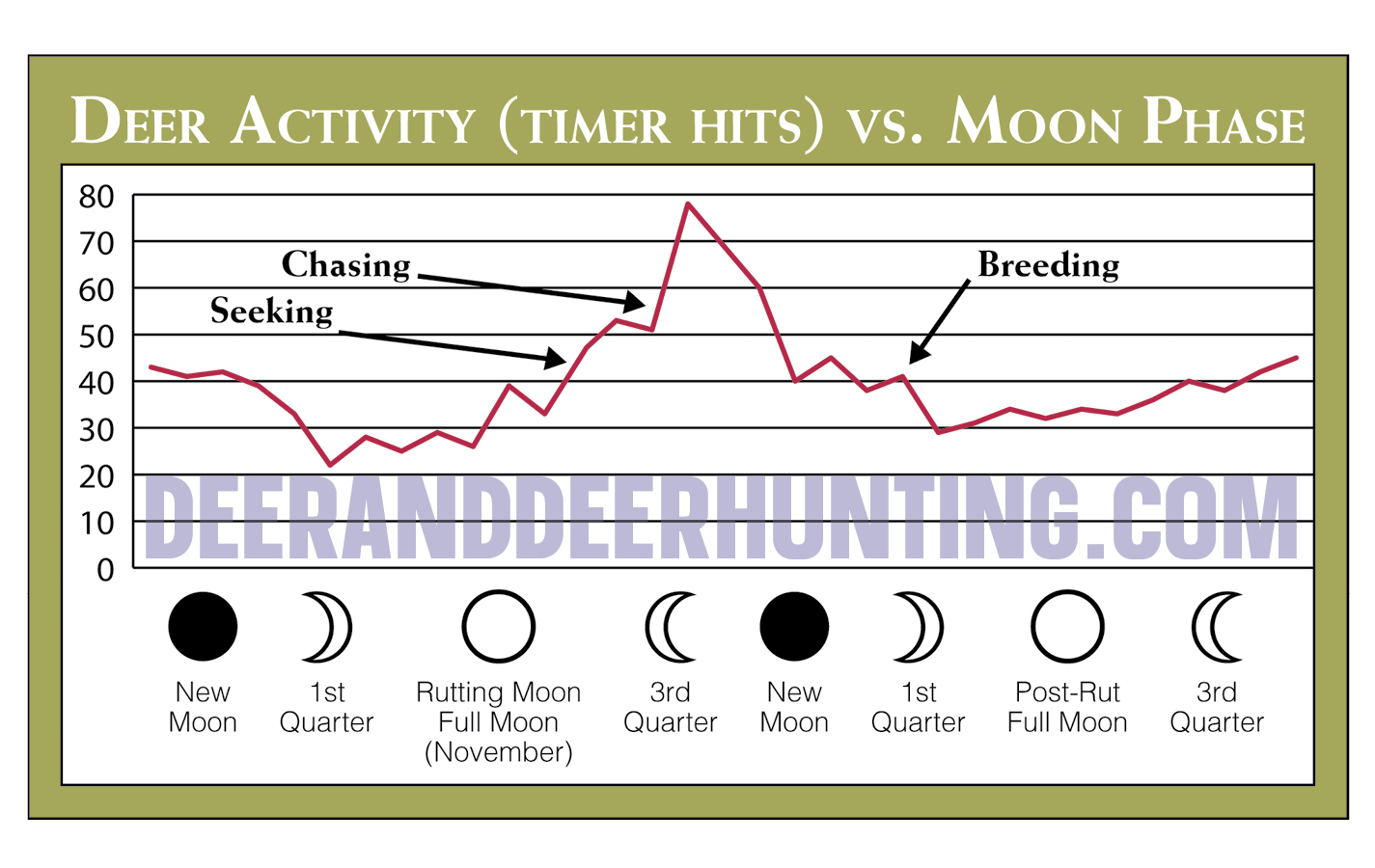 2022 Whitetail Rut Predictions Deer & Deer Hunting
