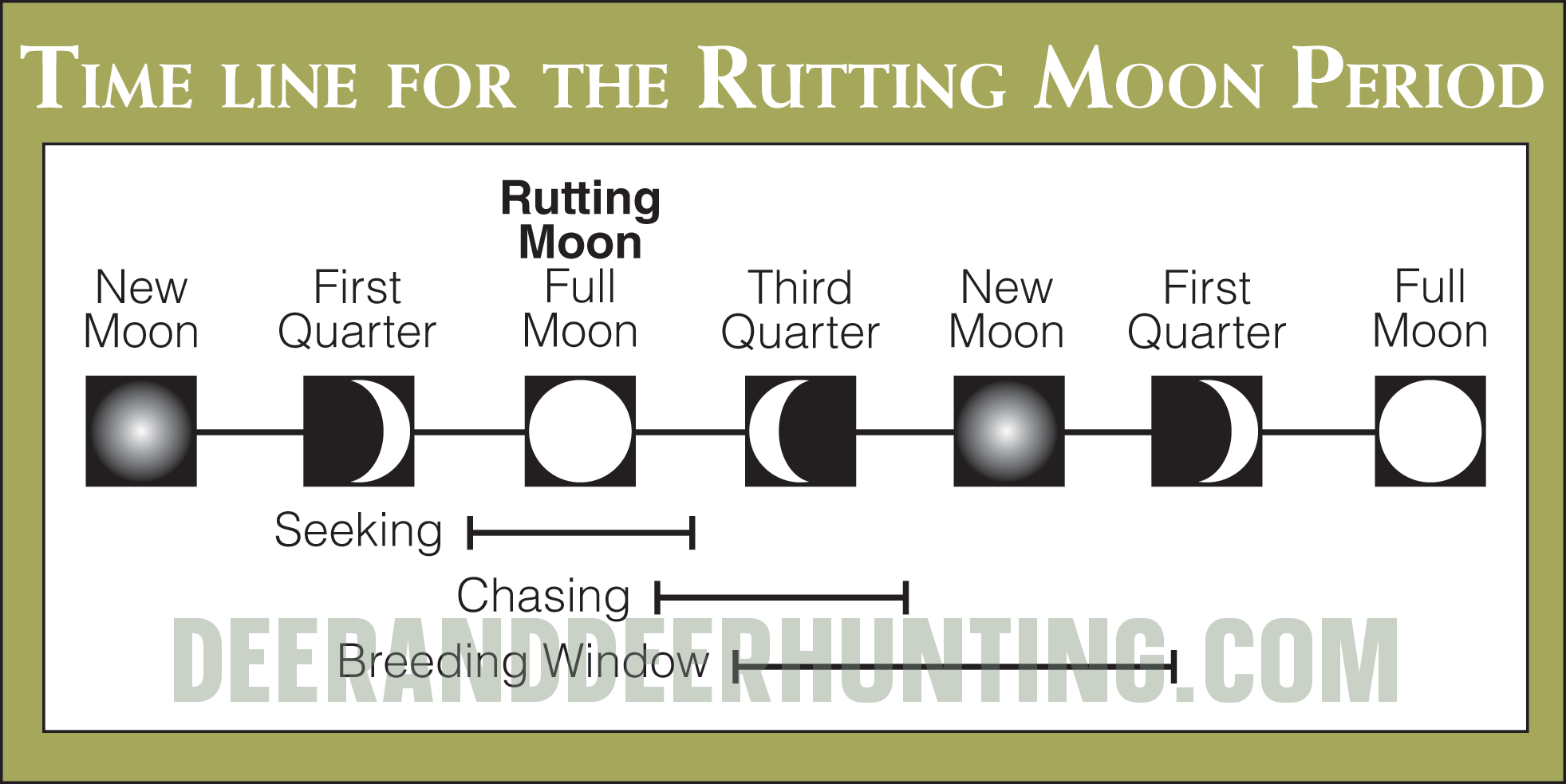 2023 Whitetail Rut Predictions Deer & Deer Hunting