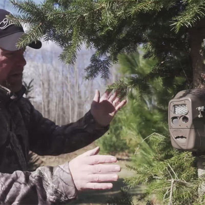 3 Tips for Better Trail Camera Placement