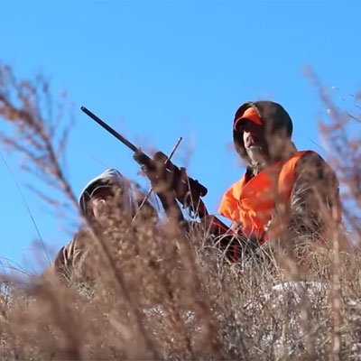 4 Keys to Keeping Bucks Close to Home | Land Of Whitetail TV