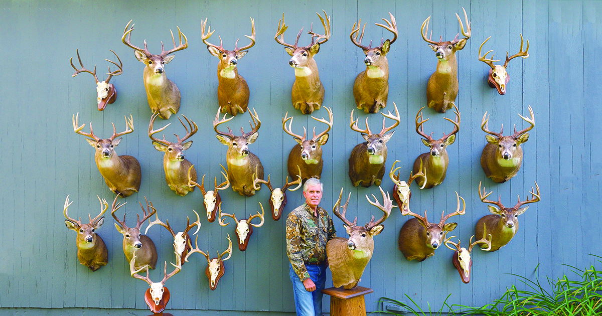 5 lasting lessons on white-tailed deer featured image
