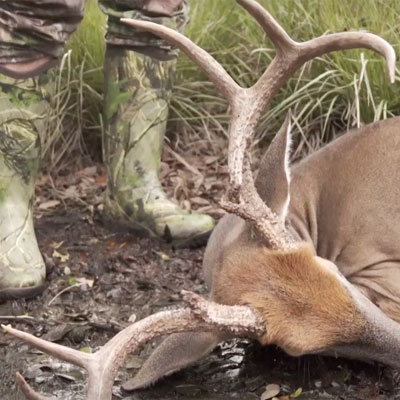 A Florida Trifecta Deer & Deer Hunting TV