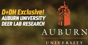 au-ddh-auburn-logo