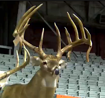 Arkansas monster buck1