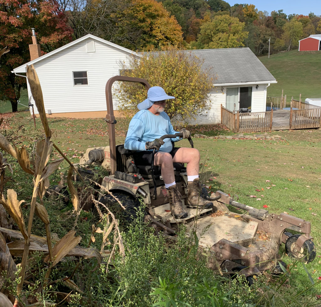 Buck Assaults Food Plot Provider