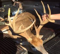 Lenny Gilbert's boss buck was fighting others and following a hot doe when the Savage 220 slug gun did its job.