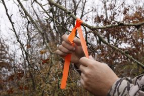 Use photodegradable tape to mark where you have been and where you are going on your shed antler hunt. In brief, grid you search. (Photo: Mark Kayser)