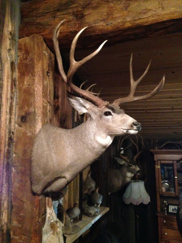 We all dream of bagging that buck for the wall, and an out-of-state hunt offers that opportunity, especially in states like eastern Oregon where most deer have tens of thousands of acres of unbroken land to call home.