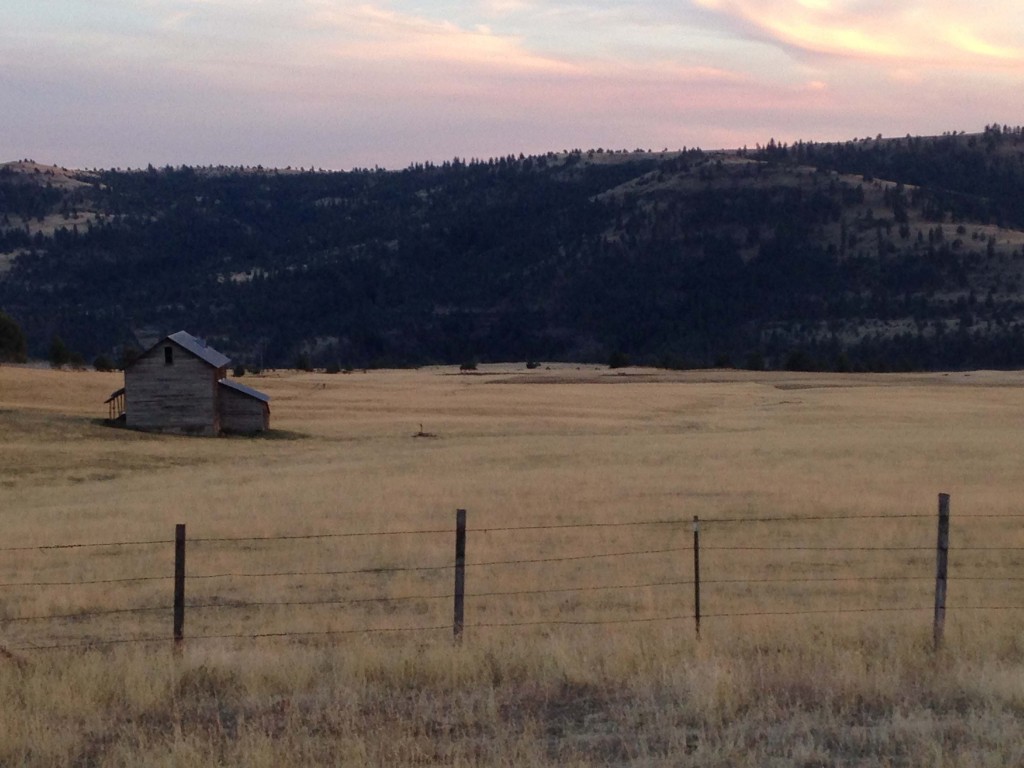 North America offers incredible deer hunting opportunities from coast to coast, but the scenery is something that cannot be described unless you see it for yourself.