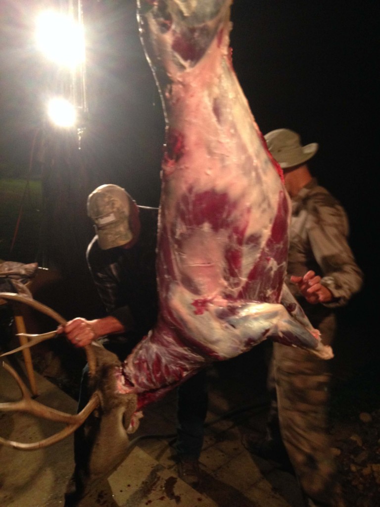 Mule deer bucks are big and blocky, which means you'll bring home 75 to 100 pounds of boneless venison if you play your cards right.