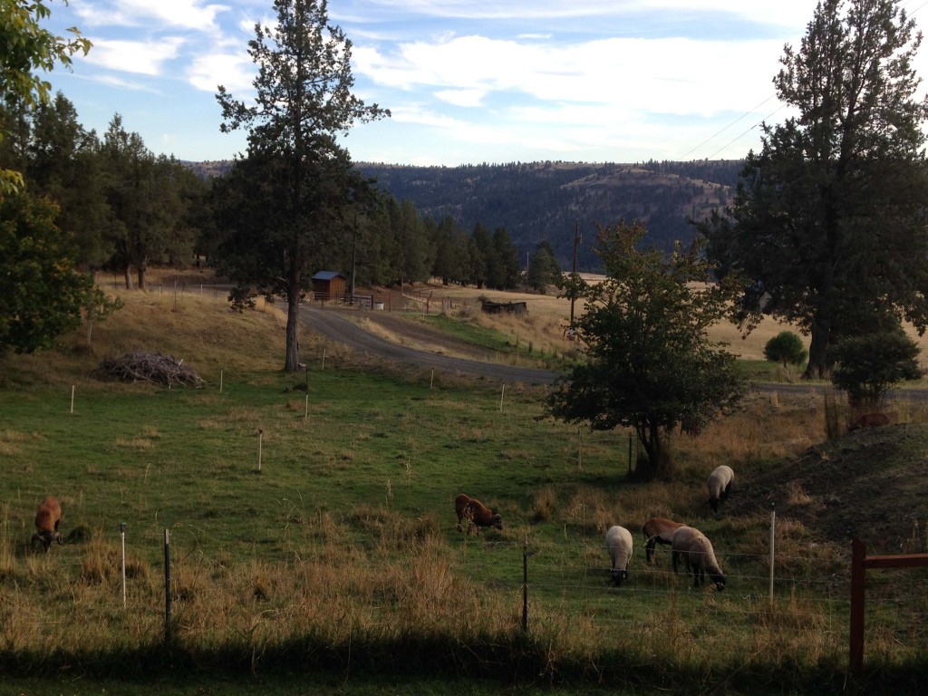 No street noises. No road traffic. Just peace and quiet.