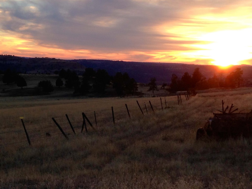 It's time to go back to reality as the sun goes down on eastern Oregon's 2014 deer season.