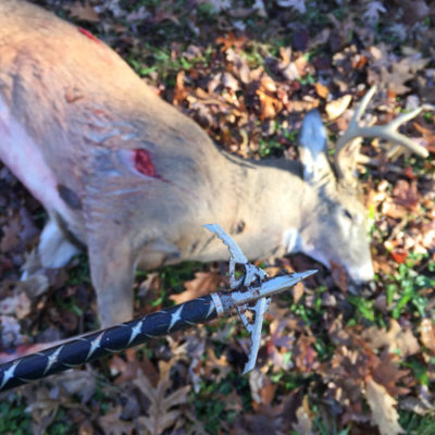 The Fate of Deer and the Truth on Bowhunting Wounding Rates