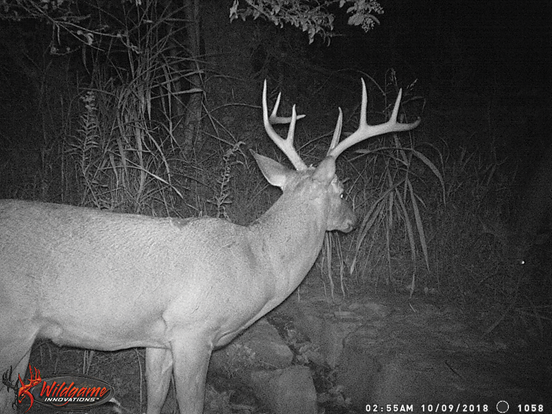 how to break down and visualize your hunting ground