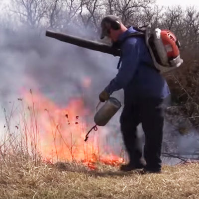 Fire Power – Use Controlled Burns to Improve Deer Habitat