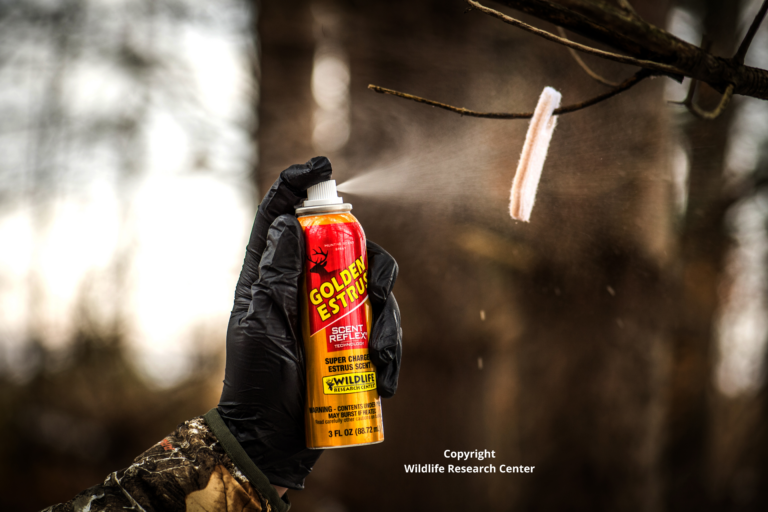 Get Ready for the Rut with Golden Estrus Spray