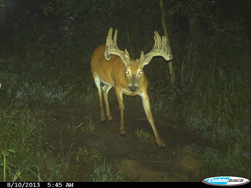 Cuddeback Kyle Sobaski Iowa