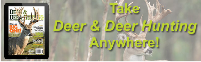 DDH Digital banner
