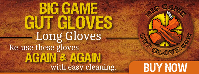 ddh_gutgloveslong_670x250-fw