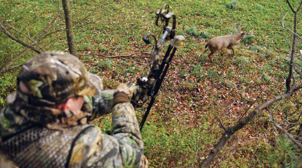 DEER Bowhunter drawing on buck