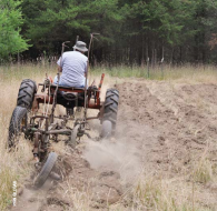 Planting food plots, fruit trees or creating openings for native vegetation to regenerate can help all wildlife.