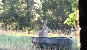 Waterholes come in all sizes, shapes and locations, and may be man-made or natural.