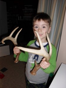 Matching sides to the White Horned Buck Deer antler sheds are in season!