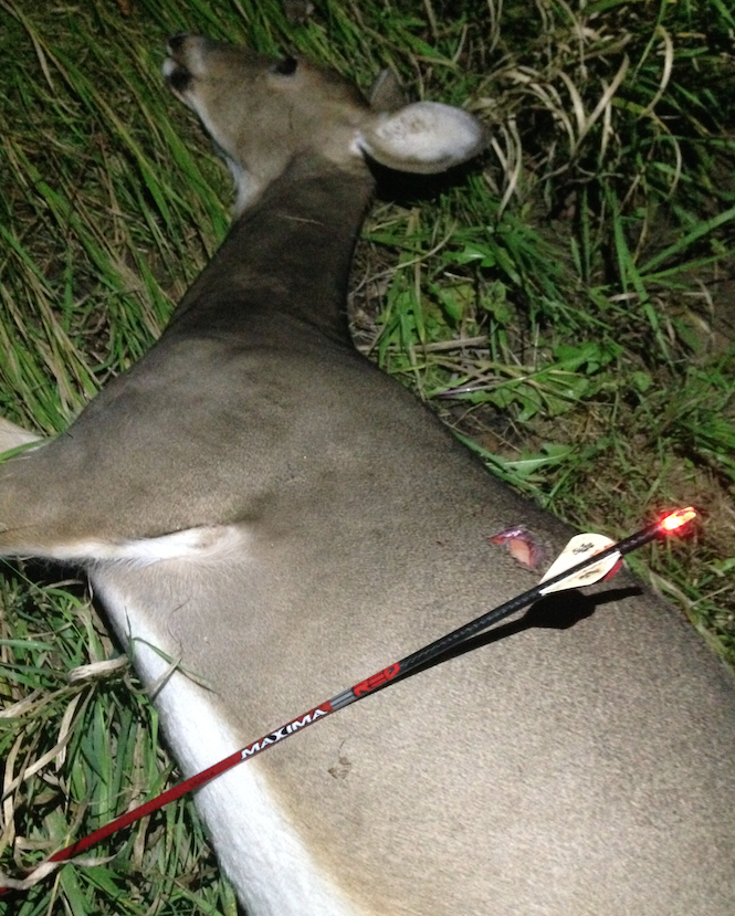 The combination of bow, arrow, broadhead, nock, sight and practice help put this fat doe on the ground to get the season started right! (Photo: Dan Schmidt/DDH)