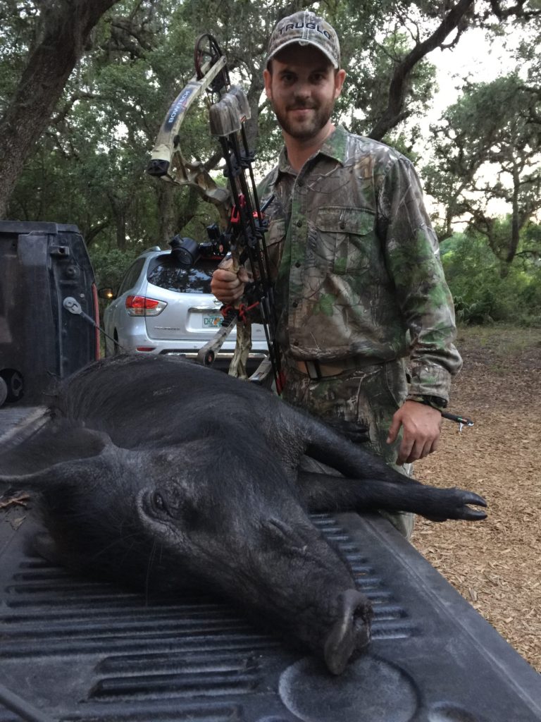 How to Eliminate Wild Hogs From an Area